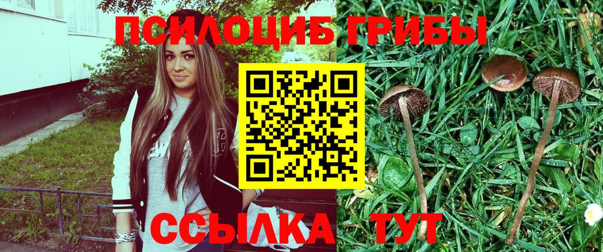 Псилоцибиновые грибы ЛСД Гатчина