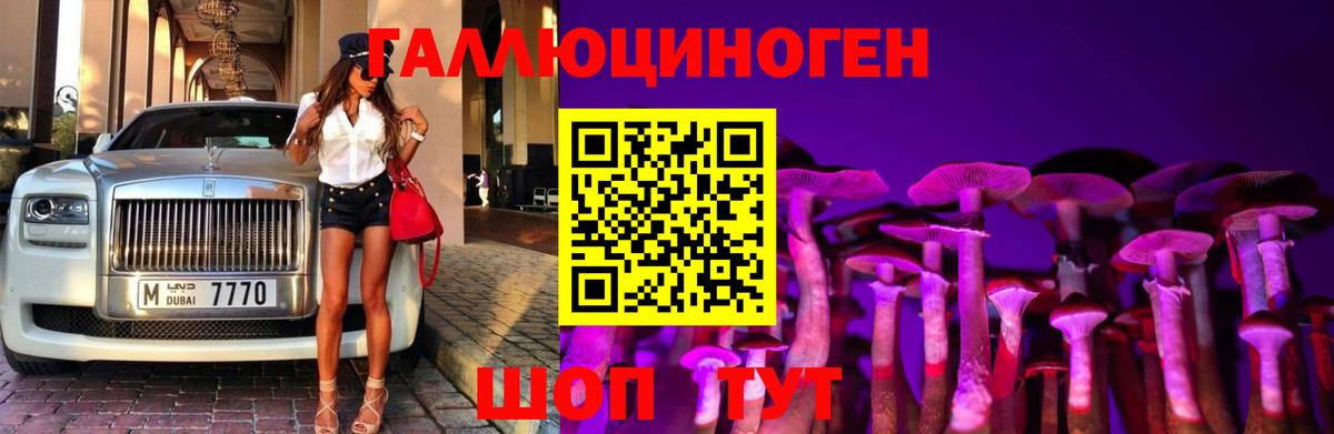 Гатчина  Галлюциногенные грибы Psilocybine cubensis  Вход с VPN 